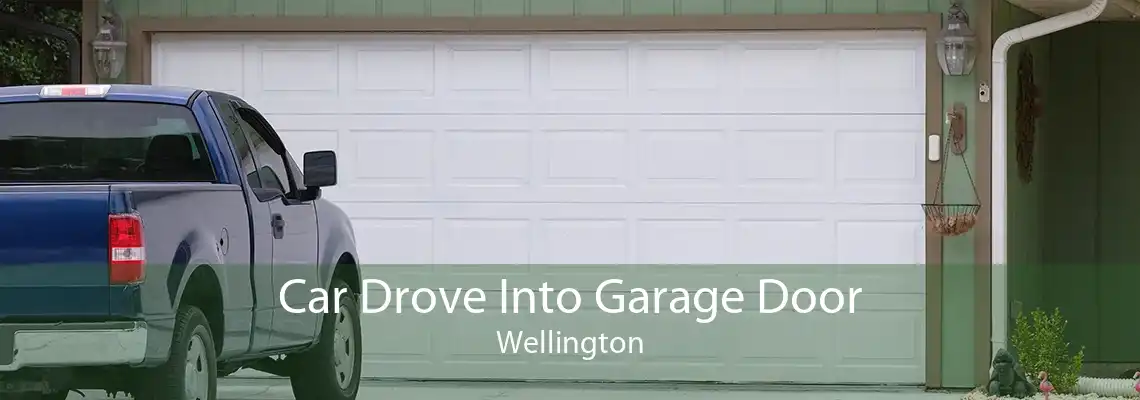 Car Drove Into Garage Door Wellington