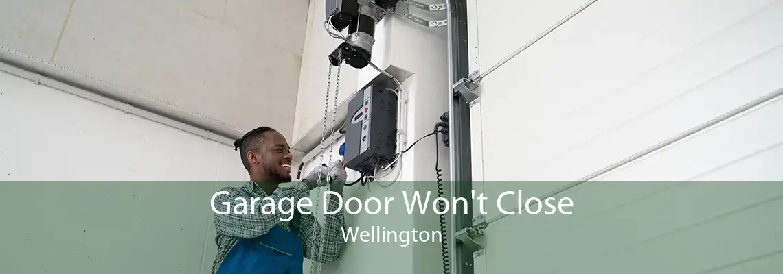 Garage Door Won't Close Wellington