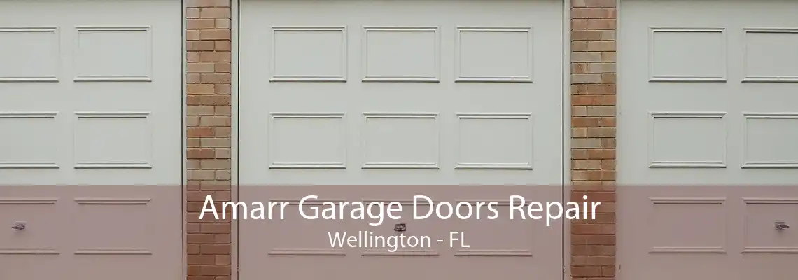 Amarr Garage Doors Repair Wellington - FL