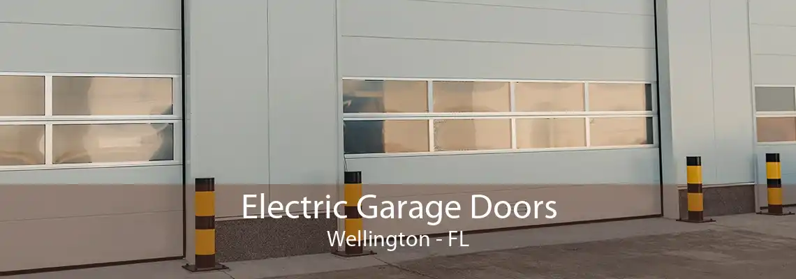 Electric Garage Doors Wellington - FL