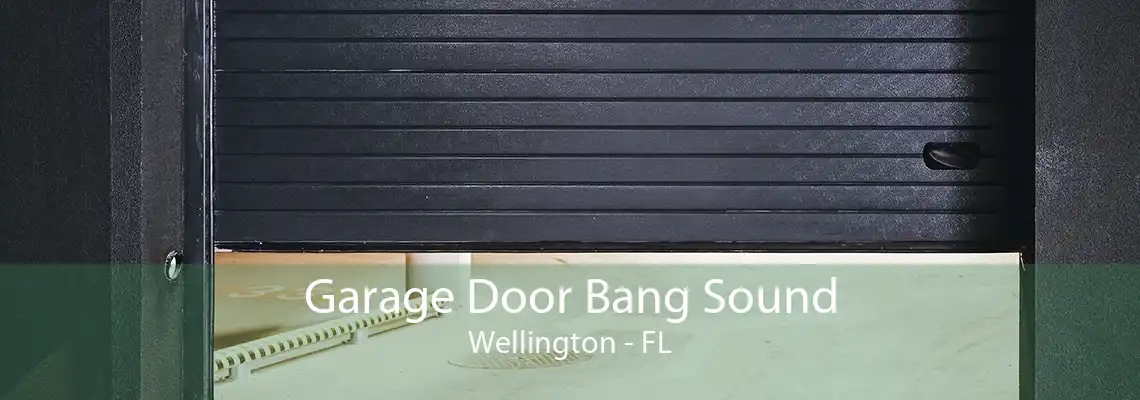 Garage Door Bang Sound Wellington - FL