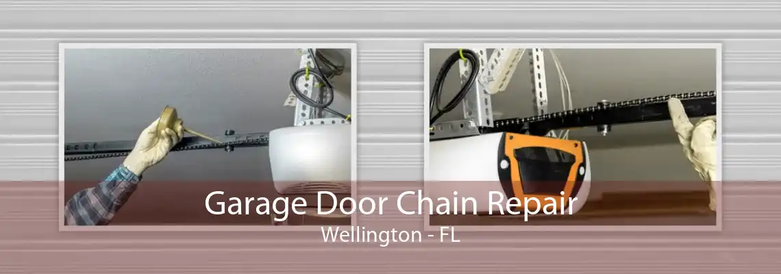 Garage Door Chain Repair Wellington - FL