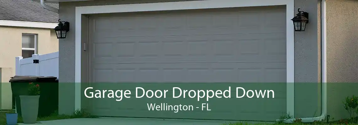 Garage Door Dropped Down Wellington - FL