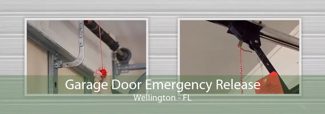 Garage Door Emergency Release Wellington - FL