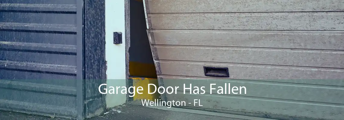 Garage Door Has Fallen Wellington - FL