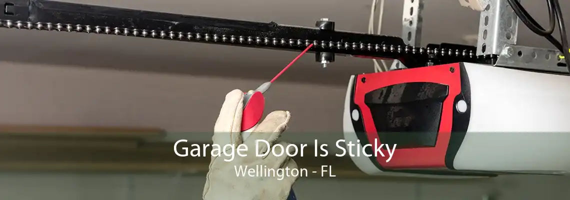 Garage Door Is Sticky Wellington - FL