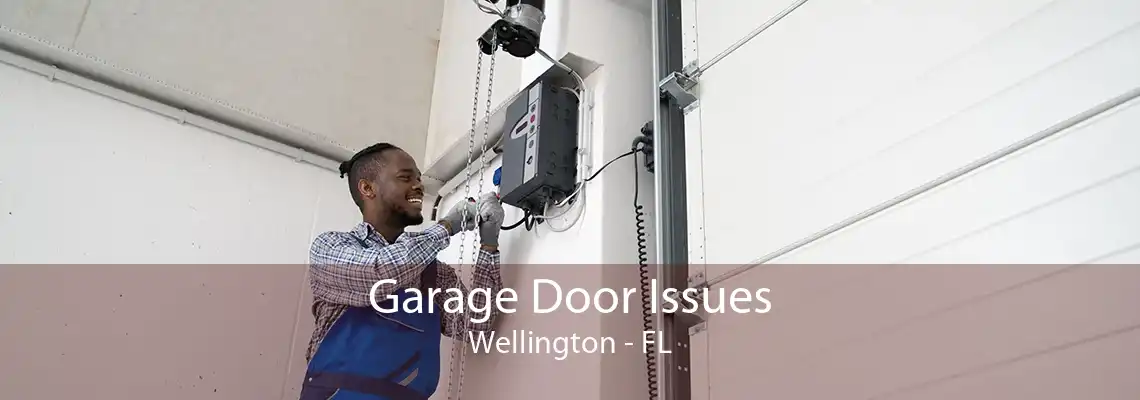 Garage Door Issues Wellington - FL