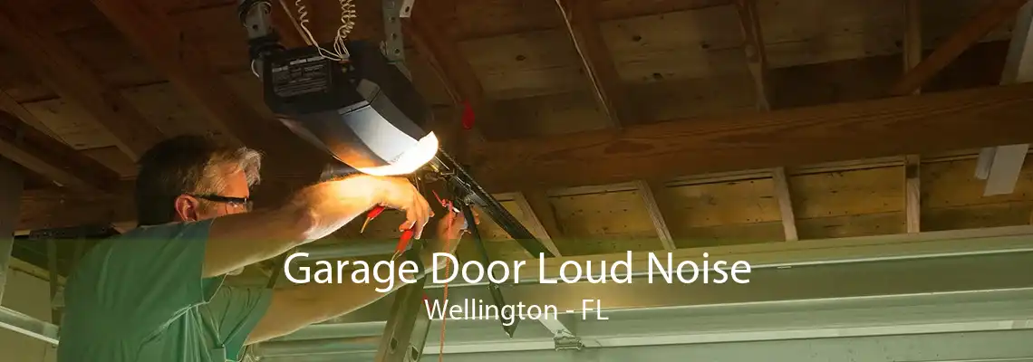 Garage Door Loud Noise Wellington - FL