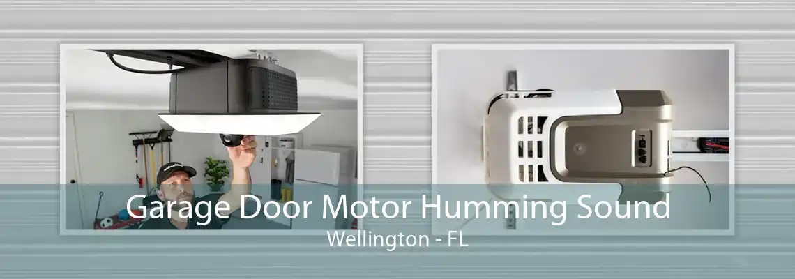 Garage Door Motor Humming Sound Wellington - FL