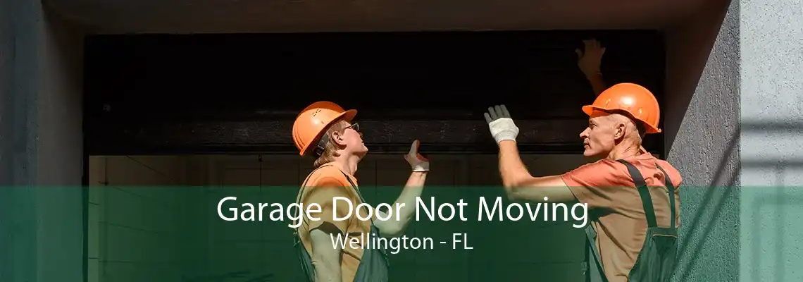 Garage Door Not Moving Wellington - FL