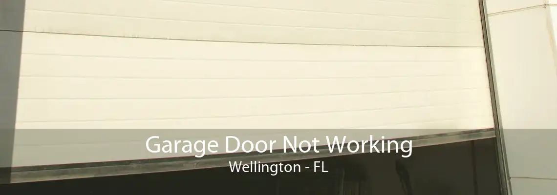 Garage Door Not Working Wellington - FL