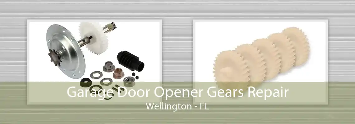 Garage Door Opener Gears Repair Wellington - FL