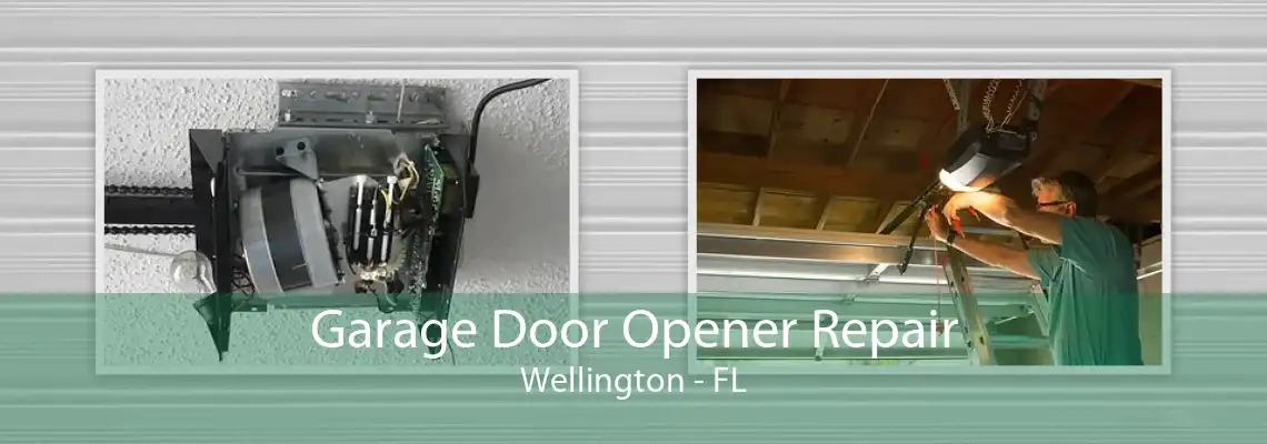 Garage Door Opener Repair Wellington - FL