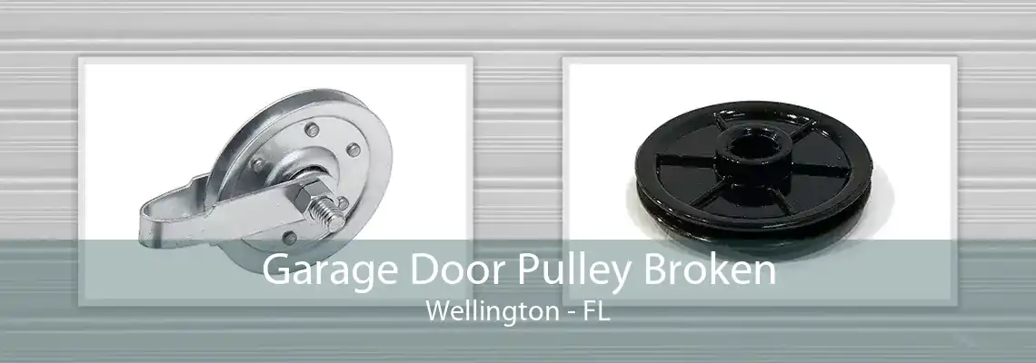 Garage Door Pulley Broken Wellington - FL