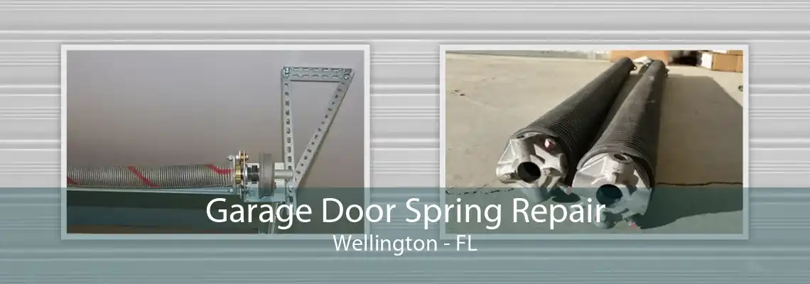 Garage Door Spring Repair Wellington - FL