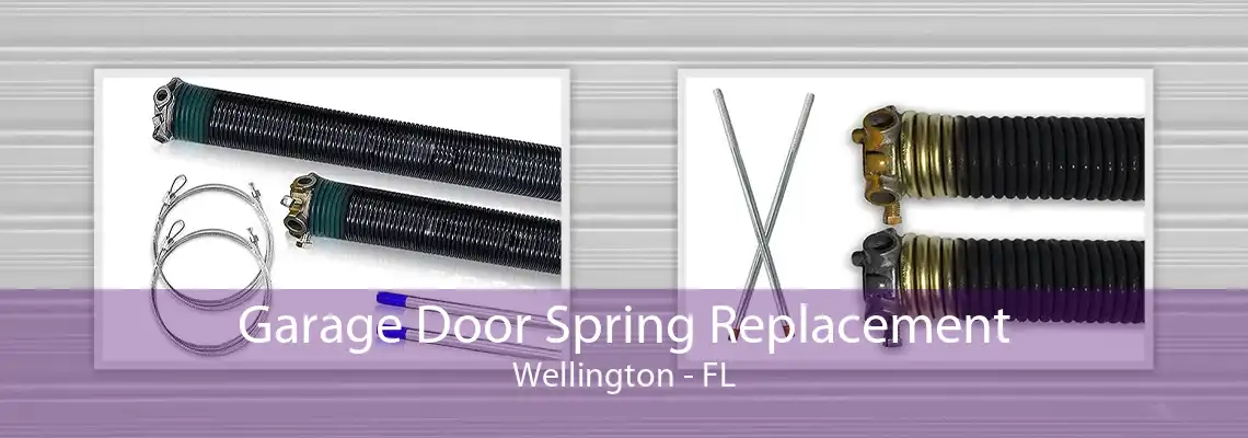 Garage Door Spring Replacement Wellington - FL