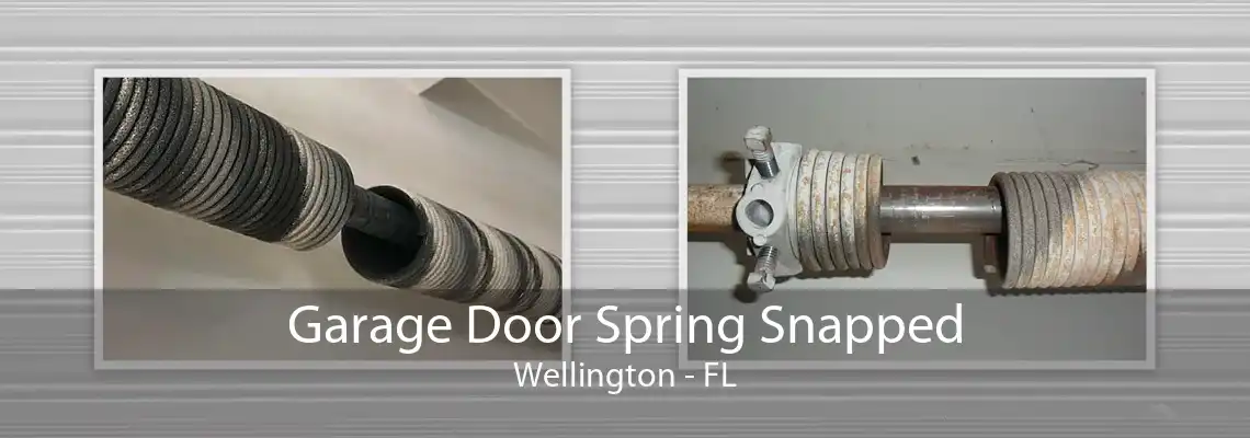 Garage Door Spring Snapped Wellington - FL