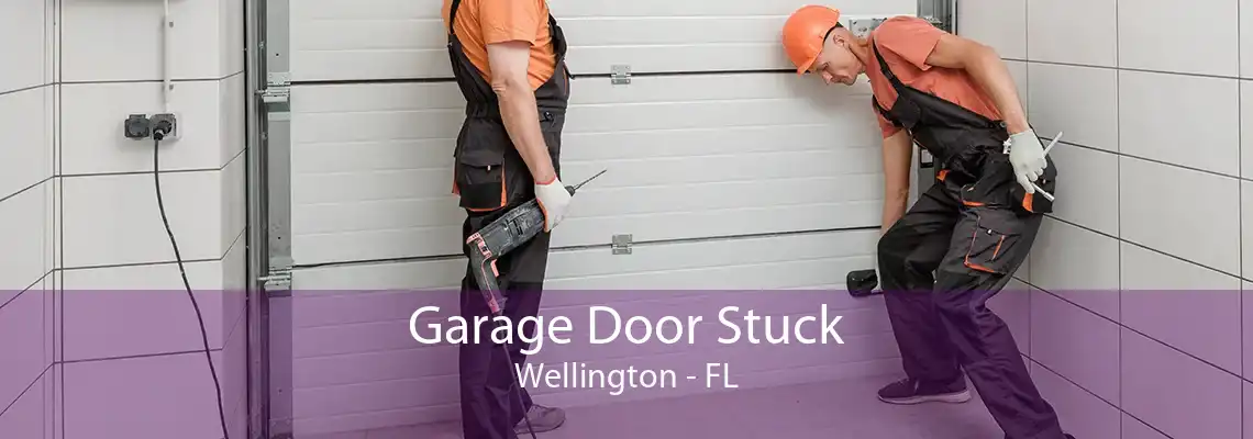 Garage Door Stuck Wellington - FL