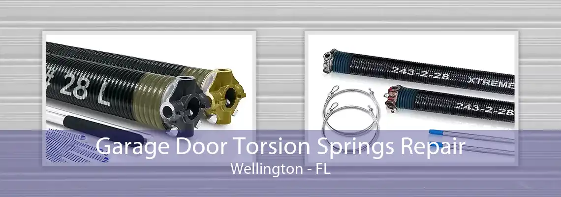 Garage Door Torsion Springs Repair Wellington - FL