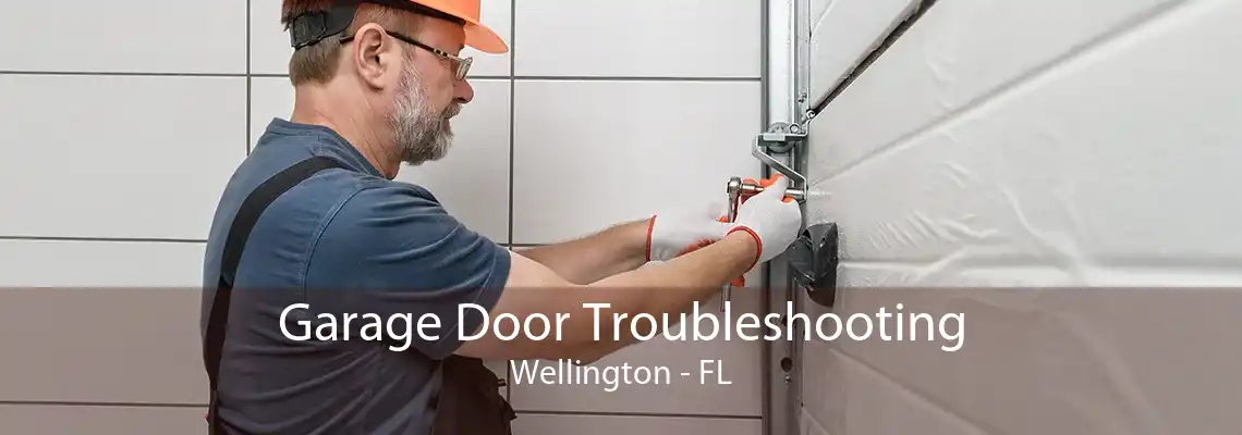 Garage Door Troubleshooting Wellington - FL