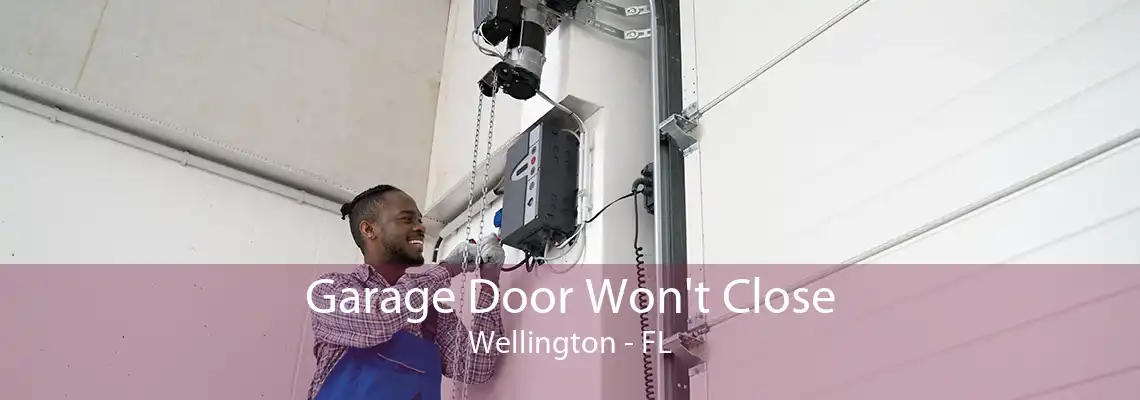 Garage Door Won't Close Wellington - FL