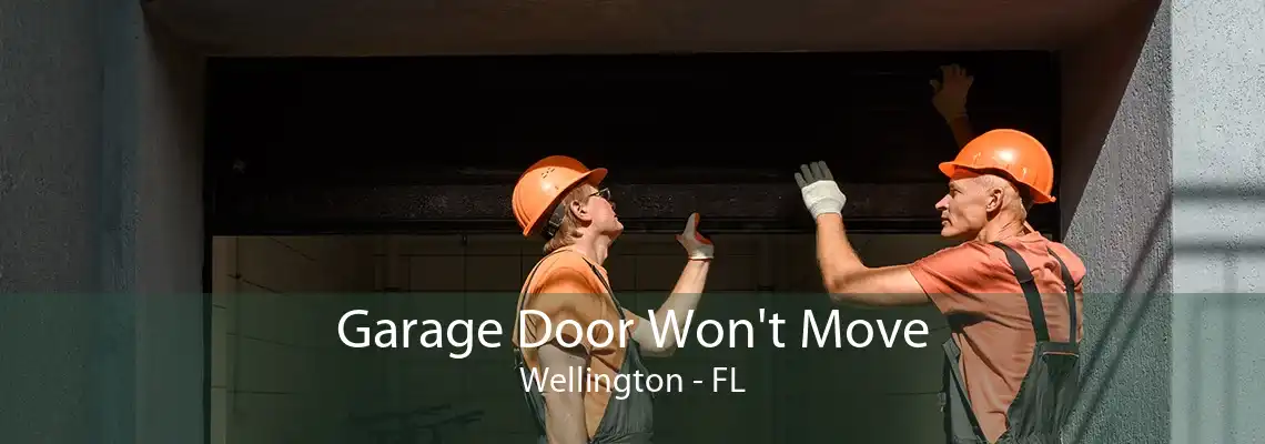 Garage Door Won't Move Wellington - FL