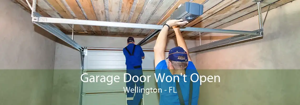 Garage Door Won't Open Wellington - FL