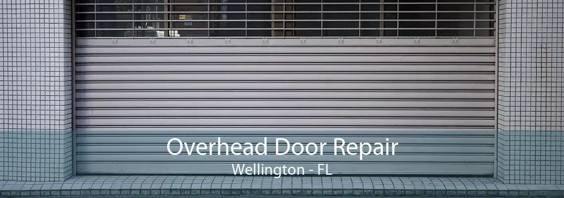 Overhead Door Repair Wellington - FL