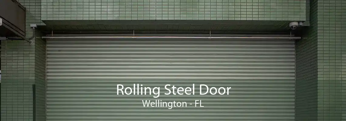 Rolling Steel Door Wellington - FL